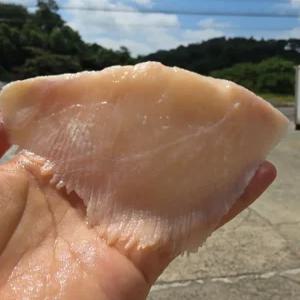 국내산 간재미 날개살 필렛 500g 제철 생물 손질 순살 무침 통찜 조림 구이