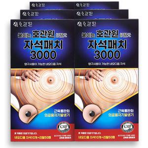 붙이는 호관원 자석패치 3000 가우스 X6개