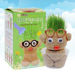 잔디 인형 키우기(곰돌이) 잔디 키우기 식물 재배 키트