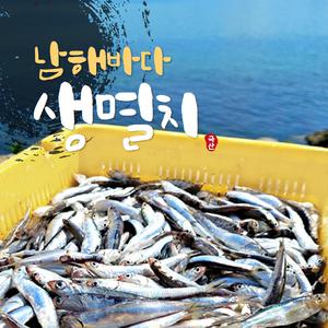 남해바다 손질 생멸치 500g 튀김 쌈밥 찌게