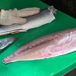 VDD 부시리 회 300g x 1팩