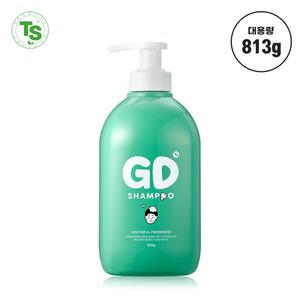 TS 지디샴푸 대용량 813g 티에스 청소년 비듬 샴푸 정수리