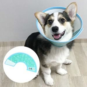 커버 애견목카라 애완용목보호 애완용목보호대 애완용 컬러디자인 목보호대 애견목보호대 프로텍션
