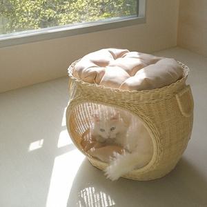 인도네시아 루마라탄 펫하우스 왕관