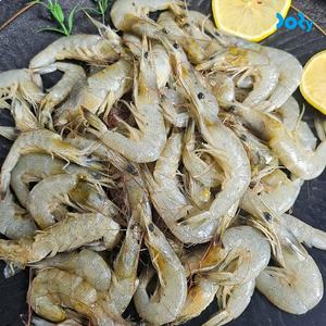 [맛도리] 국내산 급냉 중하새우 2kg (160-200미 내외)