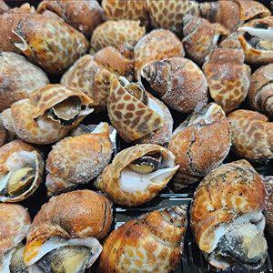 [셀러허브 식품]자숙 범고동 500g (37미 내외, 초장 40g x 2팩 포함)