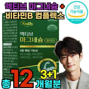 파워 산화 마그네슘 정 마그비 맥스 액티브 12개월분 대용량 시너지 마그네? 패밀리