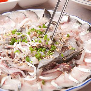 싱싱한 국내산 강진 전어회 250g + 4종소스