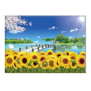 히여 DIY 보석 십자수 캔버스 액자 형 40 cm x 50 cm 해바라기 동물 풍경 취미 세트