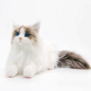 진짜같은 고양이 인형 야옹이 실제 귀여운 인테리어 페르시안 동물 장식인형 봉제인형 장식