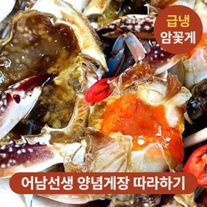 [어남선생 게장 따라하기] 국내산 급냉동 알배기 암꽃게 2kg 