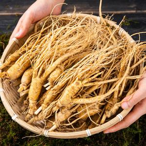 한가람건강원 닭죽 대용량 금산 햇 막삼 무세척 1kg