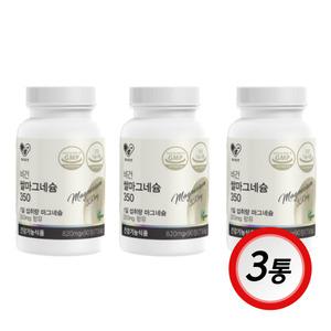 헬시알엔 식물성 비건 국내산 쌀마그네슘350 90정 x 3개 중년 남성 여성 활력 에너지 도움 시니어 노인 영