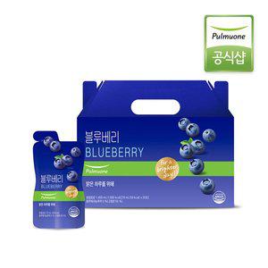 [풀무원] 블루베리 건강즙(세트)