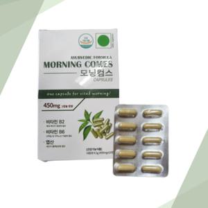 모닝컴스 10정 모닝컴즈 인도 히말라야