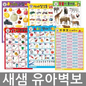 새샘 벽보시리즈-한글공부/숫자놀이/영어공부/구구단/동물/탈것들/지도/천자문/양면코팅/선택