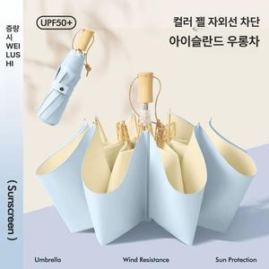 나비 양산브랜드 암막 초경량 여름 양우산 핸드백양산