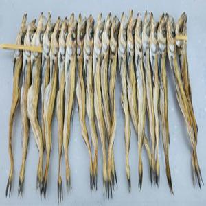 명식품본사 줄노가리 20마리 100급 300g 이상 오리지널 가정용 식당식자재용 도매가
