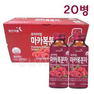 영진약품 프리미엄 마카복분자 100mlX20병/복분자 농축액 마카 추출물 사양벌꿀/약국/음료/드링크