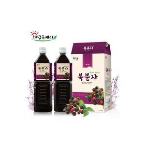해담은베리 맛있는복분자원액1000ml2병 토종착즙원액