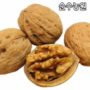 호두나무 묘목, 신령 실생2년 뿌리묘(특) 1개/유실수/과실수