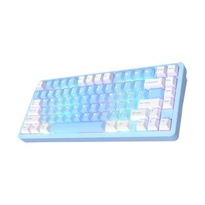 COX CF75 유무선 기계식 블루레몬젤리 (덕킹)