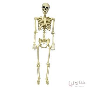 전신해골모형 소품 1.5m 할로윈 공포 인테리어 장식물