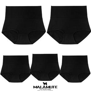 맬러뮤트 데일리지 순면 똥배 복대 팬티 5p
