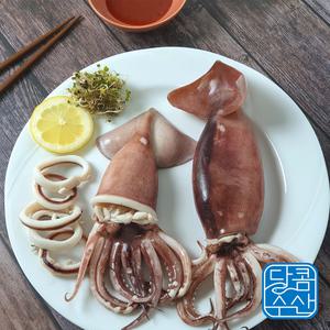 손질통오징어 손질 선동 냉동 오징어 320g 3팩