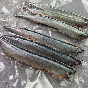 꽁치 구이 냉동 업소용 냉동꽁치 구이용 생선 갈치 미끼 조림용 선동 손질