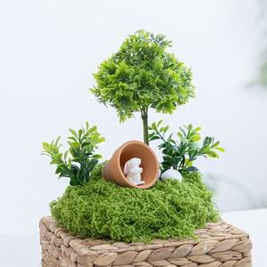 파슬리 조화 인조 조경 이끼 장식 힐링 정원 그린 책상 인테리어 18x22cm 행사 촬영 소품 연출 플랜테리어