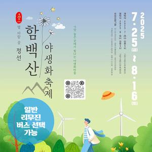 [강원] 정선 함백산 야생화축제(만항재)+태백 해바라기축제 당일여행 (일반/리무진버스) / 서울경기出