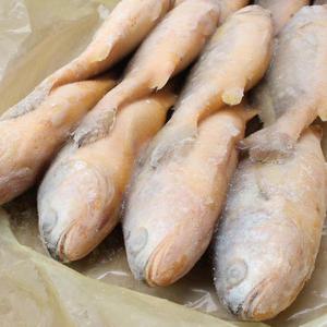 부세조기 300/400 12미 1박스(3.4kg)