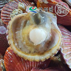 동성수산 경남 고성 홍가리비 5kg