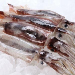 [푸드조아] 구룡포 손질 통오징어 350g(2미) x 3팩 총 6미