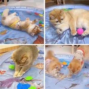 고양이 워터매트 65cm 물고기 오감자극 두꺼운 쿨링 여름용 워터방석