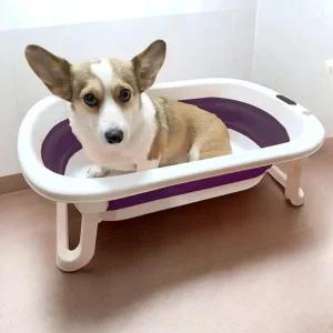강아지 고양이 폴딩 샤워통 가정용 이동식 반려견 욕조 미니 애완 간이 목욕통 대형