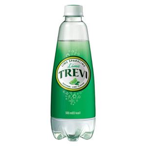 롯데 트레비 라임 500ml X 12펫
