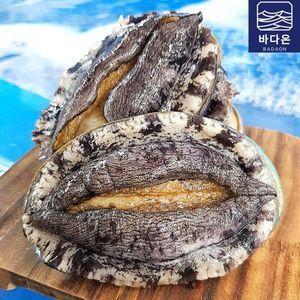 [NS홈쇼핑]완도활전복 16-18미 1kg(마리당55g내외)(산소포장)[31561986]