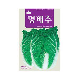 [기타]화분백화점,씨앗,모종,꽃씨,잔디씨앗,배양토,모종판,풀씨,(CN) 명배추 씨앗 (1000립)