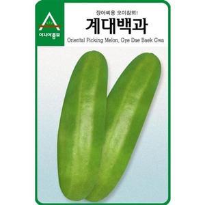 장아찌용 오이참외씨앗 계대백과 40립 참외 종자 적자소