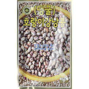 2025 씨앗 덩굴 호랑이 강낭콩 (WFGUM0G)