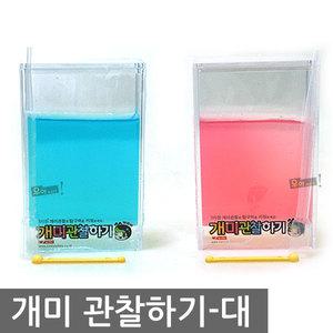 우야몰 개미관찰하기 대 개미 관찰 키우기 탐구 학습 과학 기르기 영재시리즈 우주 실험