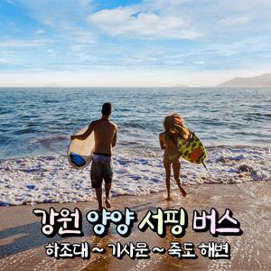 [강원] 양양 해수욕장 왕복버스(죽도~기사문~하조대 해변 순회) 당일여행(인솔자동행)/바캉스 / 서울경기出