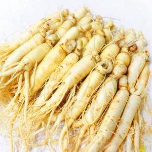 가정용 햇 수삼 세척인삼 원삼 [실속] 24-32편 600g