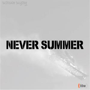 NEVER SUMMER 6 스티커/스노우보드/스키/보드복/독수리/할리/알파인/바이크/자동차
