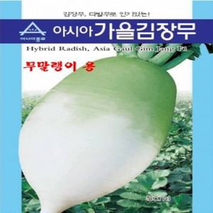 [아시아종묘/무씨앗종자] 가을김장무(12g-약1000립) 무말랭이용