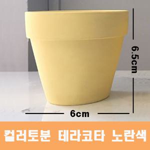 컬러 토분(노란색) 화분 미니토분 다육이 테라코타[지름6cmX높이6.5cm] 수입도매