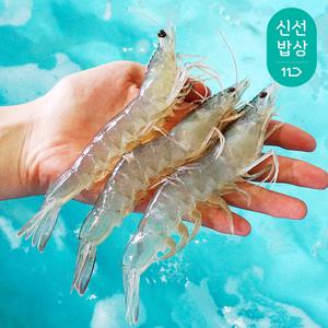 [신선밥상] 신안 노지 활 흰다리새우 1kg (31~35미)/당일조업/흰다리새우