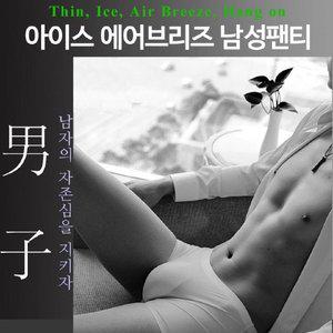 아이스 에어즈 남성팬티 쿨팬티 냉감팬티 이너 이지 (WFGNSKT)